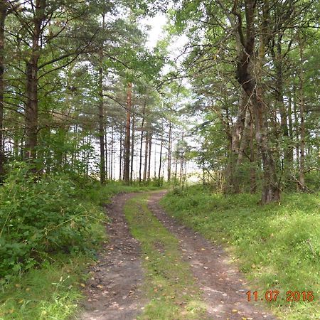 Kempings Videnieki Liepene Exterior foto